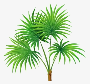 Clipart House Plant Png Library Download Palm Plant - Palm With Transparent Background, Png Download, Free Download
