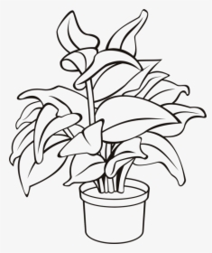 Plant In Hand Drawing - Potted Plant Line Drawing, HD Png Download, Free Download