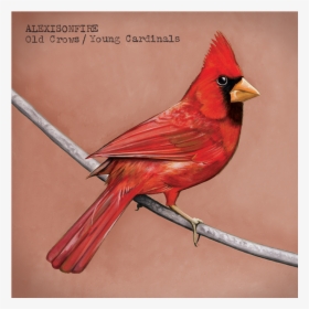 Alexisonfire Old Crows Young Cardinals, HD Png Download, Free Download