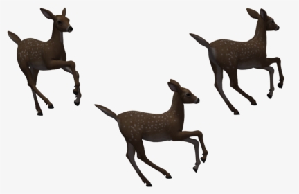 Fawn Png Download - Deer Silhouette, Transparent Png, Free Download