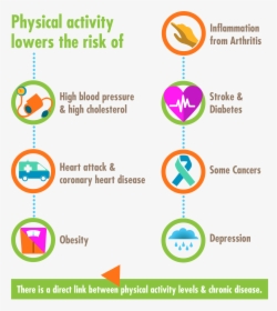 Health Risks Are Linked To Physical Inactivity, HD Png Download, Free Download