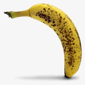 Bananas Transparent Rotten - Rotten Banana Transparent Background, HD Png Download, Free Download