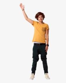 Thumb Image - Harry Styles Full Body, HD Png Download, Free Download