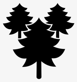 Pines Trees Forest - Portable Network Graphics, HD Png Download, Free Download