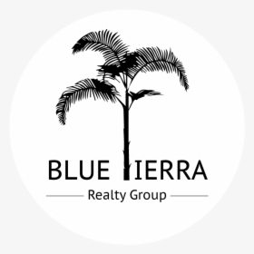 Blue Tierra Realty Group - Attalea Speciosa, HD Png Download, Free Download