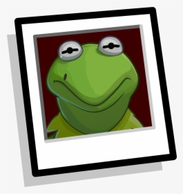 Official Club Penguin Online Wiki - True Frog, HD Png Download, Free Download