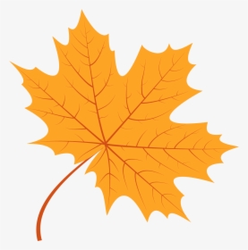 Plane Tree Leaf Vector, HD Png Download - kindpng