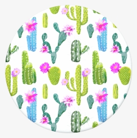 Cactus Popsocket , Png Download - Cactus Backgrounf, Transparent Png, Free Download
