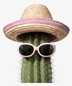 Mexico Humor, HD Png Download, Free Download