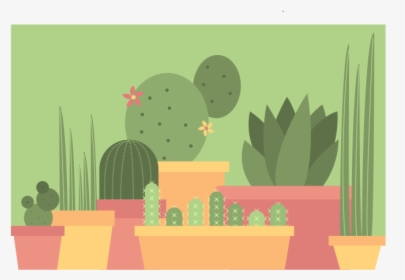 Cacti And Other Succulents Green Plant Succulents Cacti - Hedgehog Cactus, HD Png Download, Free Download