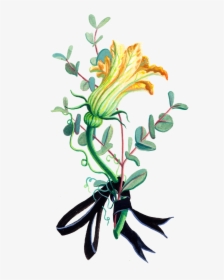 Flower2upload - Fire Lily, HD Png Download, Free Download