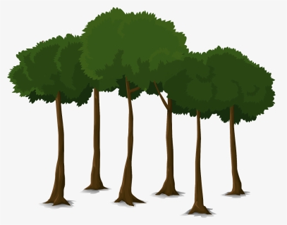 Thumb Image - Tall Trees Hd, HD Png Download, Free Download