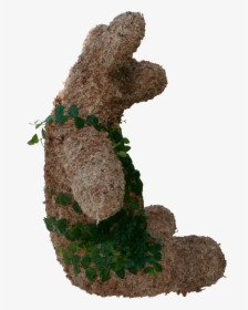 Grass, HD Png Download, Free Download