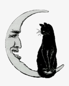 #blackcat #witchy #halloween #moon #vintagehalloween - Black Cat Drawing Witch, HD Png Download, Free Download