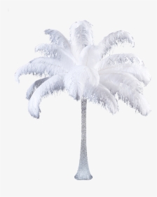 Ostrich Feather Centrepiece Hire - Darkness, HD Png Download, Free Download