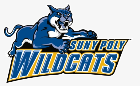 Wildcat Png, Transparent Png, Free Download