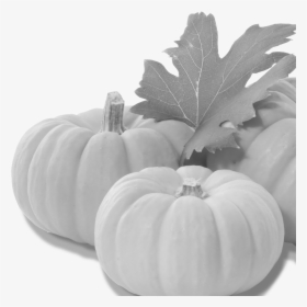 Pumpkins And Leaves, HD Png Download, Free Download