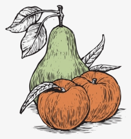 Pear Of Praches Avery, HD Png Download, Free Download