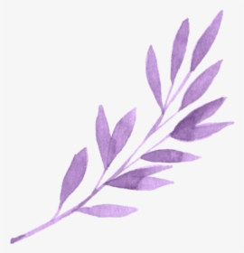 #violeta #purple #hoja #hojas #leaves #leave #kpop - Flowers Purple Aesthetic Png, Transparent Png, Free Download