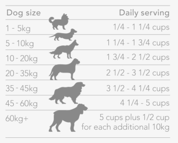Chicken Feeding 01 01 - Big Is A 20 Kg Dog, HD Png Download, Free Download