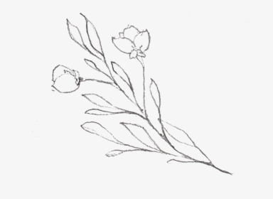 Floral Sketch - Sketch, HD Png Download, Free Download