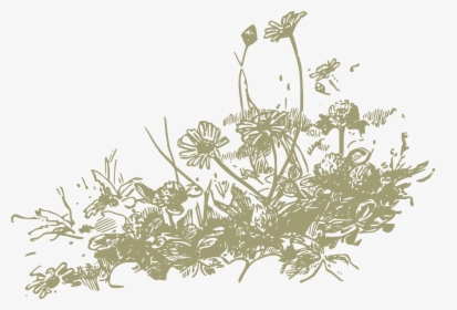 Australian Drawing Wild Flower - Wildflower Clipart, HD Png Download, Free Download