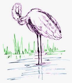 Transparent Flamingo Clipart Png - Flamingo, Png Download, Free Download