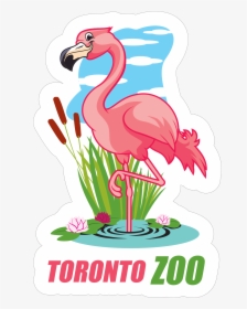 Flamingo"  Class="lazyload Lazyload Mirage Featured - Greater Flamingo, HD Png Download, Free Download