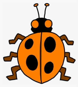 Gambar Binatang Kumbang Kartun, HD Png Download, Free Download