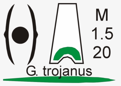 Poster Galanthus Trojanus, HD Png Download, Free Download