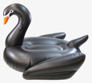 Duck, HD Png Download, Free Download