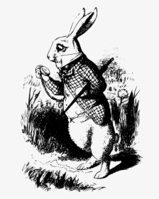 White Rabbit Alice In Wonderland , Png Download - Alice In Wonderland Book Rabbit, Transparent Png, Free Download