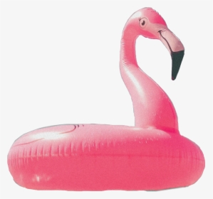 #flamingo #poolfloat #pool #aesthetic #aesthetic #object - Greater Flamingo, HD Png Download, Free Download