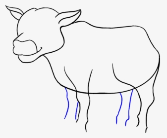Cartoon Pictures Of A Cow - Draw A Cow Cartoon, HD Png Download, Free Download