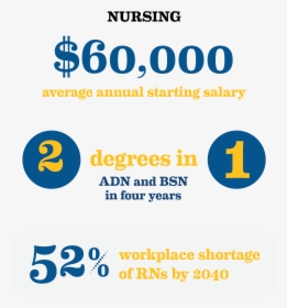 Nursing Statistics - Bsn Nursing, HD Png Download, Free Download