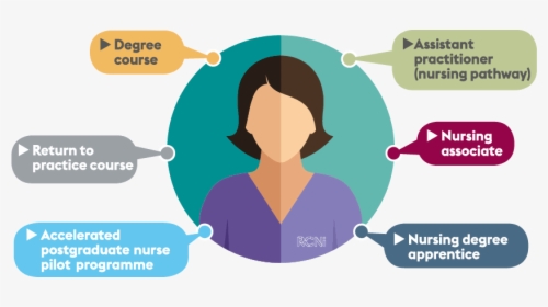 Routes To Nursing - Routes In To Nursing, HD Png Download, Free Download
