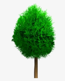 Grass, HD Png Download, Free Download