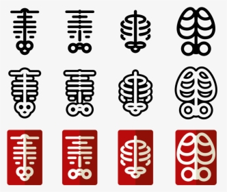 Ribcage Vector Icons - Rib Cage Icon Vector, HD Png Download, Free Download
