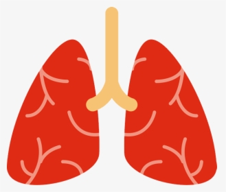 Lungs Png - Lung, Transparent Png, Free Download