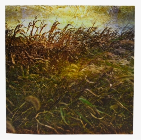 Vintage Cornfield Art Print"  Class= - Grass, HD Png Download, Free Download