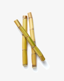 Bamboo, HD Png Download, Free Download