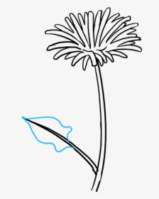 How To Draw Dandelion - Dandelion Easy Drawing, HD Png Download, Free Download