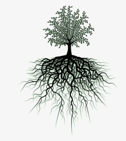 Thumb Image - Tree Of Life Transparent, HD Png Download, Free Download