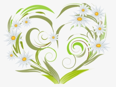 Daisy Clipart Margarita Flower - Heart Vector, HD Png Download, Free Download