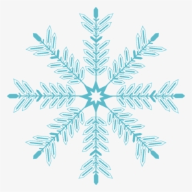 Spruce, HD Png Download, Free Download