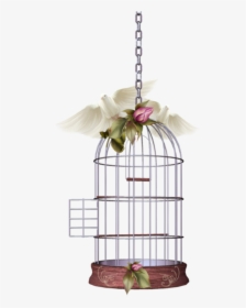 #mq #white #dove #birds #birdcage - Beautiful Cage Bird Png, Transparent Png, Free Download