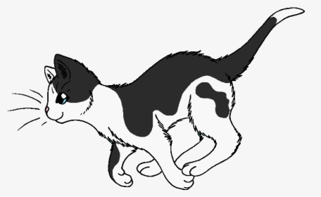 Transparent Small Star Png - Warrior Cat Transparent Background, Png Download, Free Download