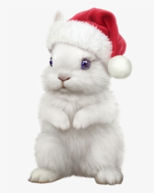 Transparent Background Rabbit Png, Png Download, Free Download