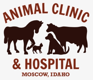 Animal Clinic & Hospital - Animal Clinic, HD Png Download, Free Download