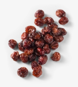 Cranberry Vector Single - Seedless Fruit, HD Png Download, Free Download